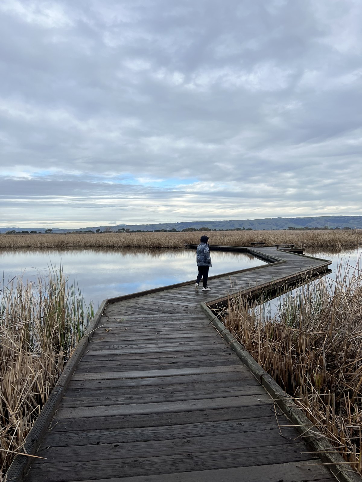 On the boardwalk.